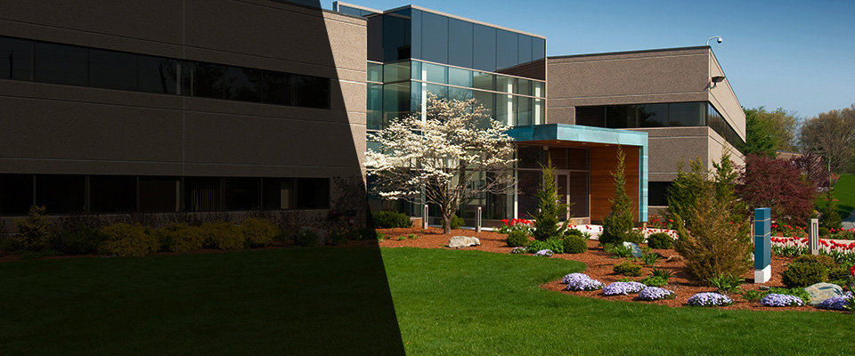 Corte Madera Landscapers