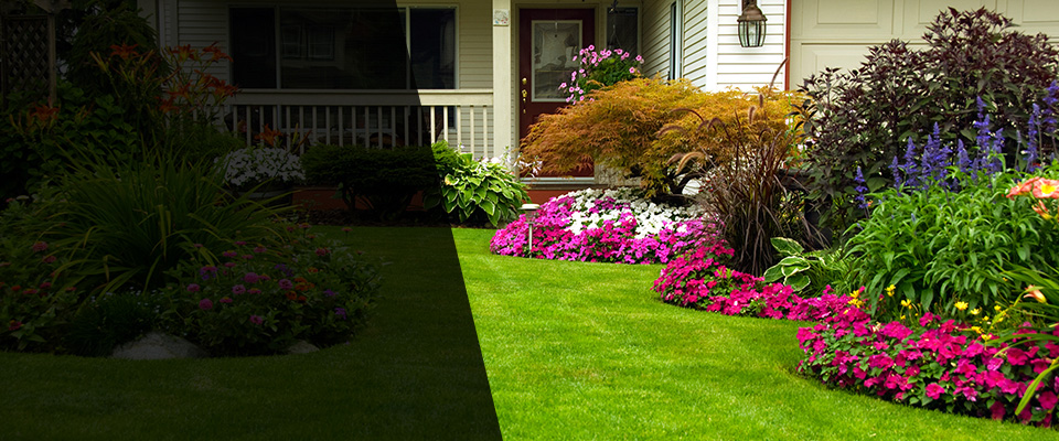 Corte Madera Landscapers