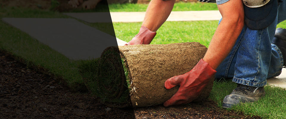 Corte Madera Landscapers